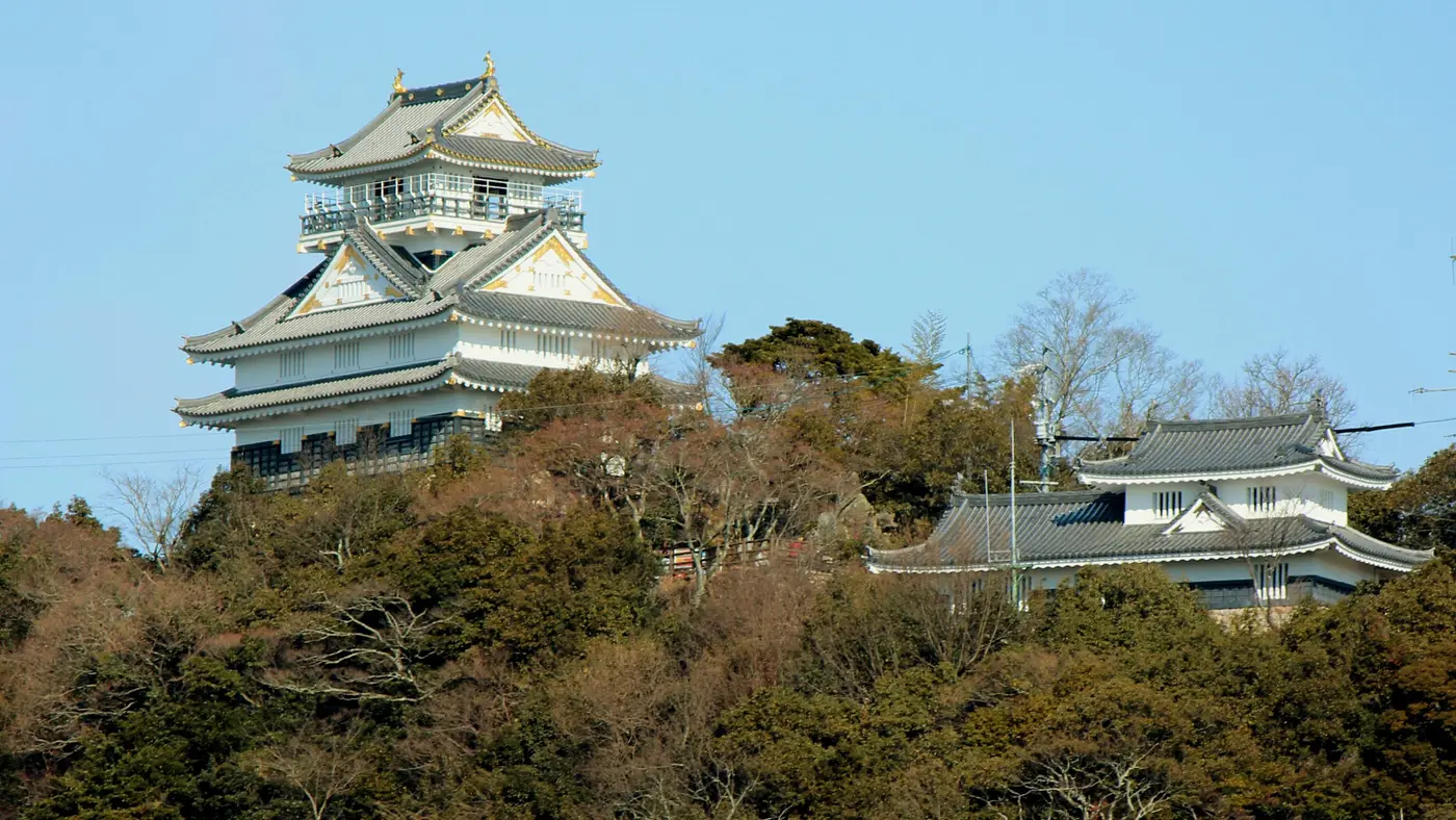 Gifu Castle