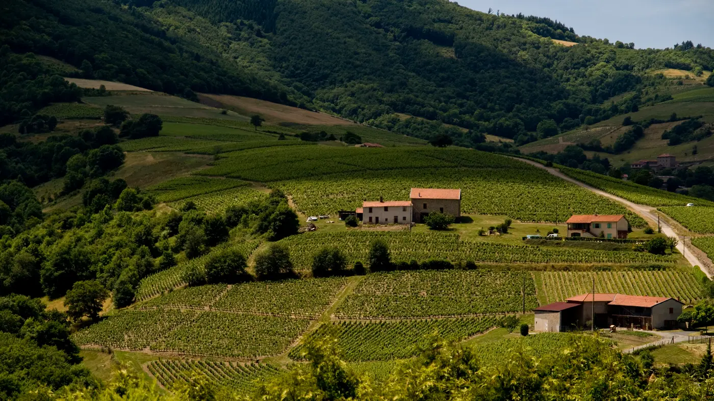Beaujolais