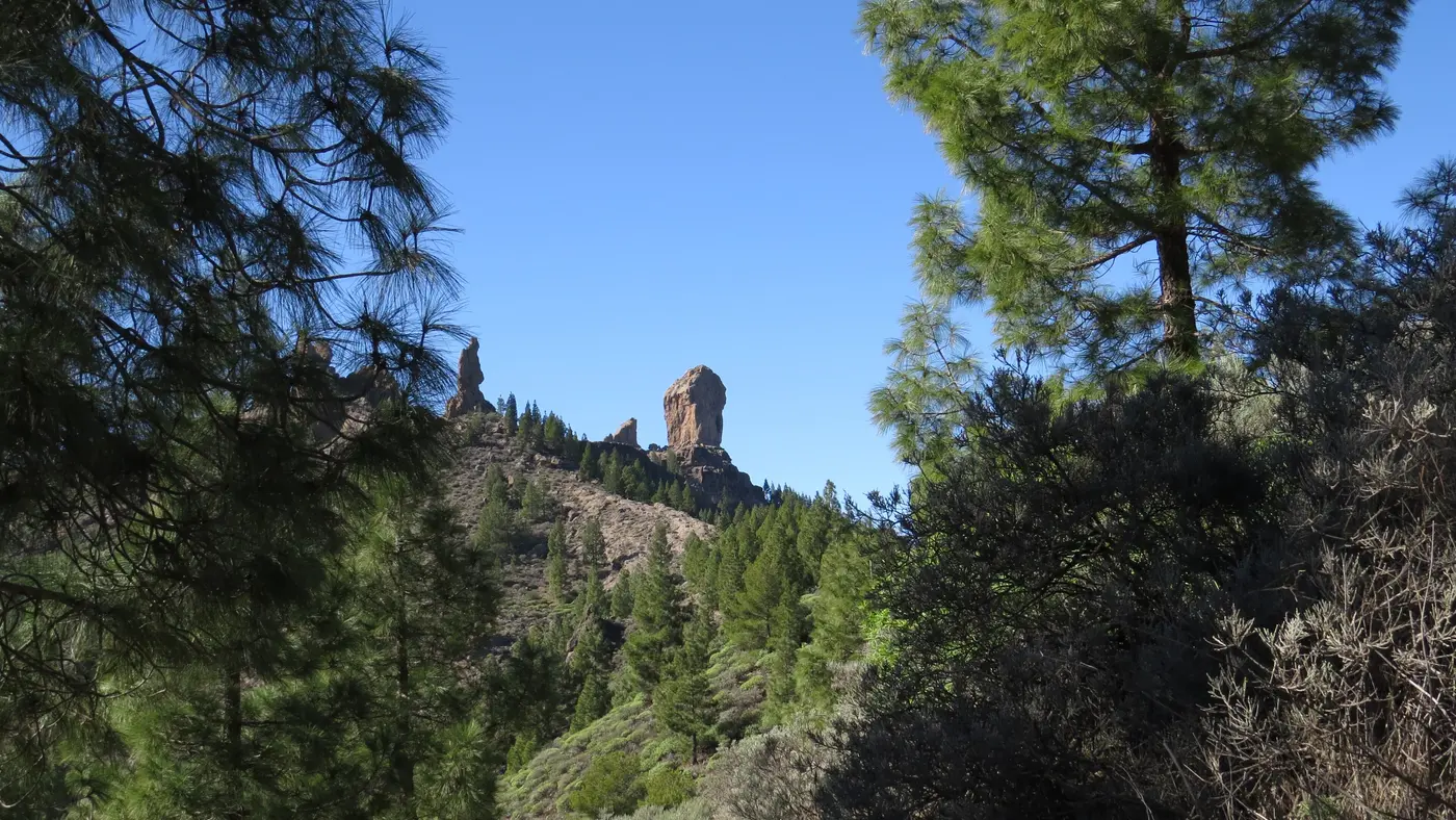 Roque Nublo